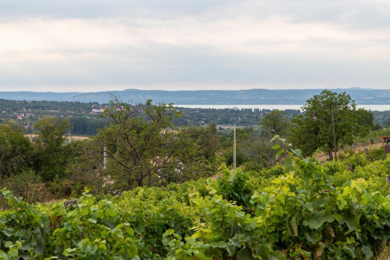 D.Five Vineyard & Retreat Koroeshegy别墅 外观 照片