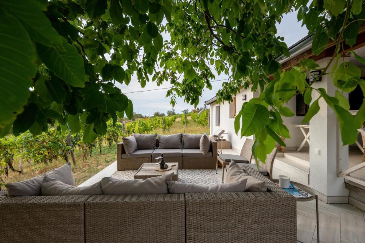 D.Five Vineyard & Retreat Koroeshegy别墅 外观 照片