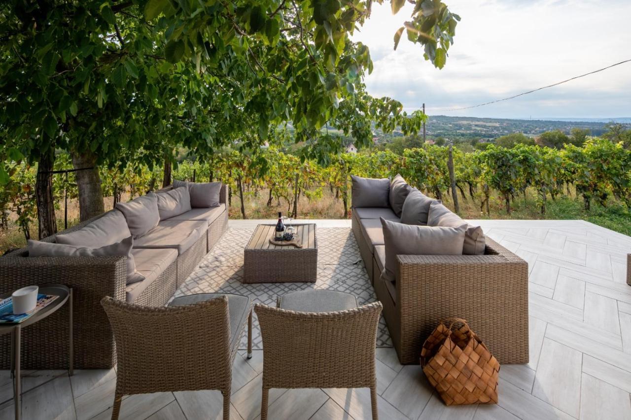 D.Five Vineyard & Retreat Koroeshegy别墅 外观 照片